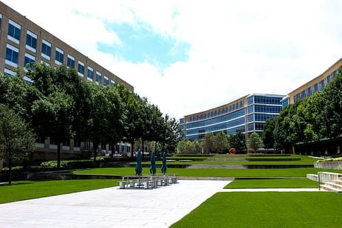 What Value Does Well-Maintained Landscaping Add to Your Commercial Property?