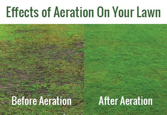 It's Time to Aerate! - Clean Scapes