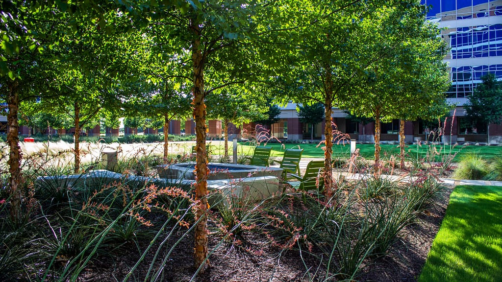 How To Create Efficient Outdoor Work Spaces Clean Scapes