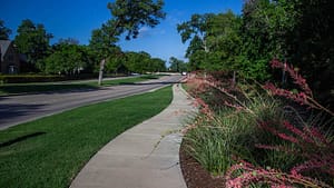 Commercial Landscaping with Mulch