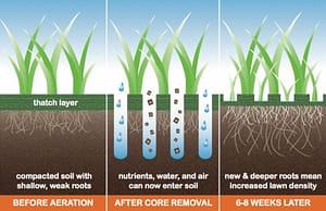Aeration diagram