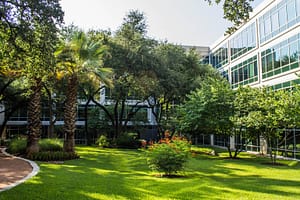 landscape maintenance
